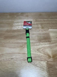 Brandneu Mejier Basic Hundehalsband hellgrün Größe kleiner Hund 3/8 Zoll x 8-14 Zoll - Bild 1 von 7