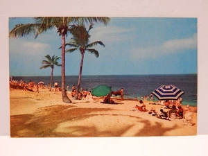 Crandon Park Beach Key Biscayne Florida Postcard - Picture 1 of 2