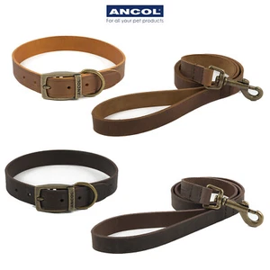 Ancol Latigo Leather Dog Collars & Matching Leads Adjustable Polished - Picture 1 of 5