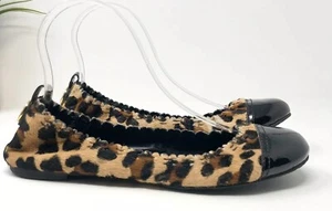 Tory Burch Abbey Estampado de Leopardo Pelo de becerro Negro Charol Puntera Ballet Pisos - Imagen 1 de 11