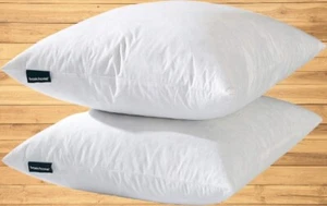 basic home 26x26 White Euro Cotton Throw Inserts-Down Feather Pillow, Set of 2 - Picture 1 of 1