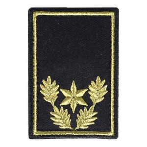 Dienststellungsabzeichen 1 Stern gold + Eichenlaub + Paspel - Picture 1 of 1