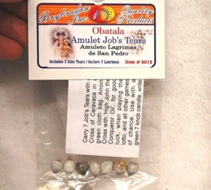 Jobs Tears (7) Obatala Amulet Santeria, Voodoo Hoodoo Wicca Pagan Witchcraft - Picture 1 of 5