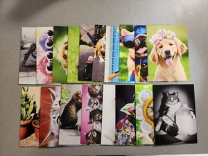 Tarjeta para ocasiones especiales para gatos y perros multiusos/cumpleaños/grado/retiro Avanti Press - Imagen 1 de 69