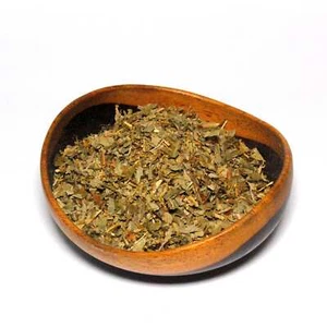 Ladys Mantle-Alchemilla Vulgaris-Organic - Picture 1 of 1