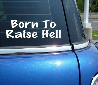 BORN TO RAISE HELL DECAL STICKER BAD ASS REBEL PARTY COLLEGE CAR TRUCK - Image 1 of 3