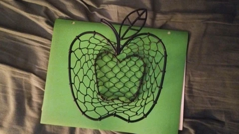 Apple Wire Frame Basket Cover