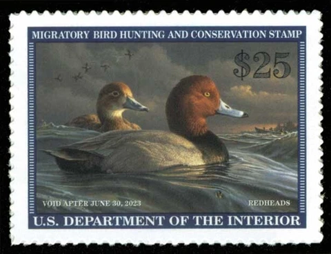 RW89 2022 Federal Duck Stamp - Redheads Cover