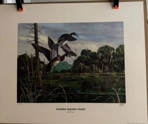 "Carolina Summer Ducks” By Robert E. Binks S/N 1436/2600 LE Duck Art Print - Picture 1 of 6
