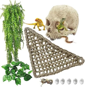 Decoration Bearded Dragon Tank Accessories Resin Human Reptile Habitat Skull - Picture 1 of 6