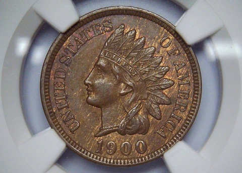 1900 Indian Head Cent 1c - NGC MS63BN - Woody Obverse & Deep Chocolate Reverse Cover
