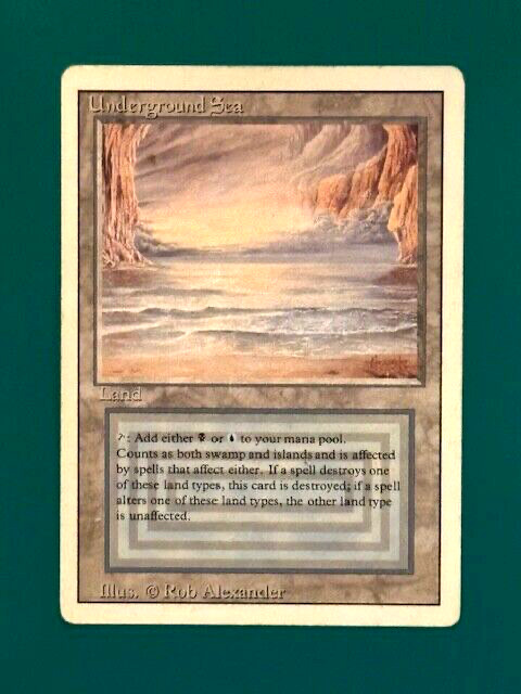 Heavily Played (Poor) Land Magic: The Gathering Trading Card Heavily Played (Poor) Land Magic: The Gathering Trading Card