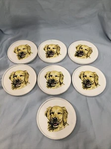 Vintage Golden Retriever Decorative Coasters Ceramic Top Cork Bottom Set of 7 - Picture 1 of 8