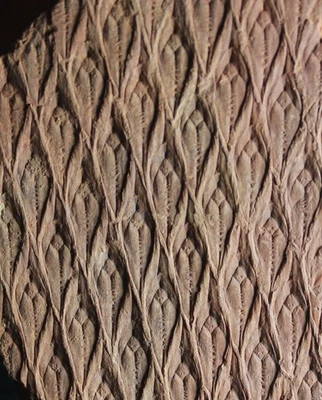Museum quality Carboniferous Lepidodendron bark - Image 1 of 4