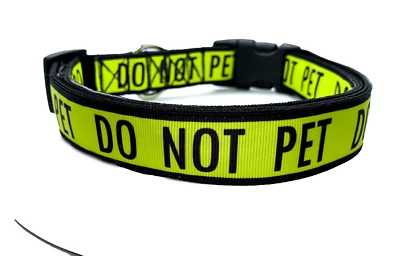 Collar ajustable para no mascotas Foto 1 de 4