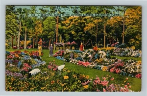 Clearwater FL-Florida, Scene In Japanese Gardens Vintage Souvenir Postcard - Picture 1 of 2