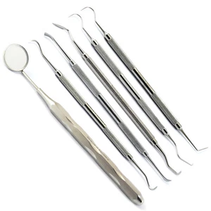 Dental Pick Teeth Cleaning Inspection Tools Kit Tartar Calculus Plaque Remover - Picture 1 of 10