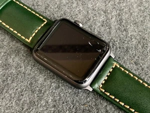 42 or 44mm SPACE GRAY Apple watch iwatch GREEN band w/ adapter - Picture 1 of 6