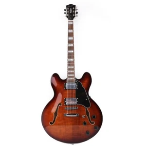 Guitarra Eléctrica Sunburst 6 Cuerdas Diapasón Palisandro Cuerpo SemiHueco Caoba - Imagen 1 de 6