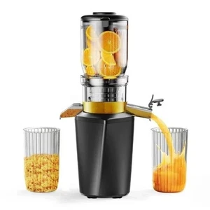 Fyenkfar 250W Cold Press Slow Masticating Juicer Fruit Processing Machine BLACK - Picture 1 of 14