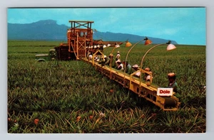HI-Hawaii, cortadores de piña, postal de recuerdo antigua, vintage - Imagen 1 de 2