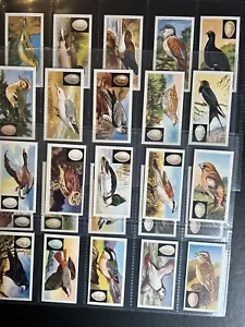 UNITED DAIRIES-FULL SET- BIRDS & THEIR EGGS 1961 (25 CARDS) EXCELLENT - Picture 1 of 2