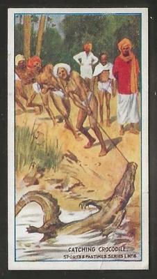 TADDY-SPORTS & PASTIMES 1912-#08- CATCHING CROCODILE  - Image 1 of 2