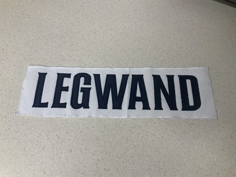 2005-2006 Milwaukee Admirals David Legwand Last Name On The Back Of Jersey! Cover