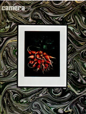 1974 Camera Magazine. History of Polaroid Instant Print Photography to SX-70. - Image 1 of 4