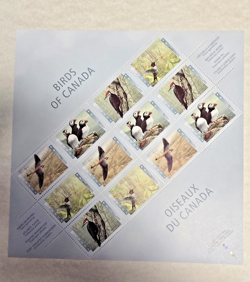 Canada Stamps - MNH Pane of 12 $0.45 - 1996 Birds of Canada - Image 1 of 1