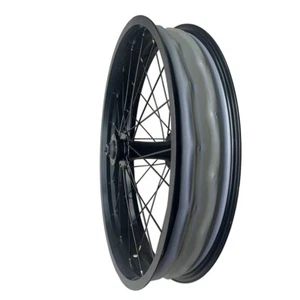 EBike Front wheel for bicycle Conversion Kit 20 4.0 Wheel Hub Snow Beach Bike - Picture 1 of 10