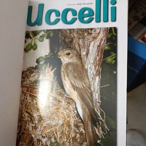 Rivista di ornitologia uccelli anno 2002 - Bild 1 von 4