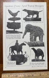 Vtg 1930s magazine article Gardner Creates Treetop Menagerie Prucha Reeves NE - Picture 1 of 1