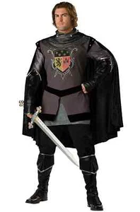 Dark Knight Medieval Renaissance sz XL Men's Adult Costume In Character - Picture 1 of 10