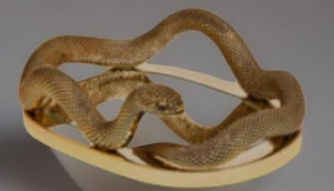 Bath Body Works COILED SNAKE Mirrored Tray Holder - Picture 1 of 1