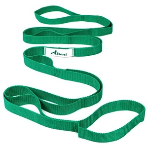 Abiarst Stretching Strap Yoga Straps Physical Therapy 10 Loops Non-Elastic - Picture 1 of 6
