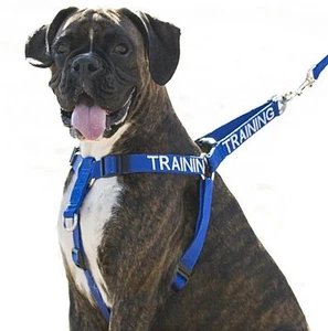 TRAINING Blue Heavy Duty Non Pull Dog Harness Front Clip & Optional Lead Sets - Picture 1 of 14