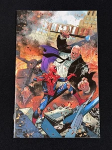 2024 Ultimate Spider-Man #6 2nd Printing Marco Checchetto 1:25 Virgin Variant - Picture 1 of 3