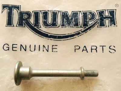 TRIUMPH CAM EIXO TAMPA PARAFUSO DAYTONA ROCKET III SPEED TRIPLE - T3332578 M6 x 65 - Imagem 1 de 3