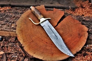 BEAUTIFUL CUSTOM HAND MADE DAMASCUS STEEL HUNTING BOWIE KNIFE HANDLE STAG HORN - Bild 1 von 1