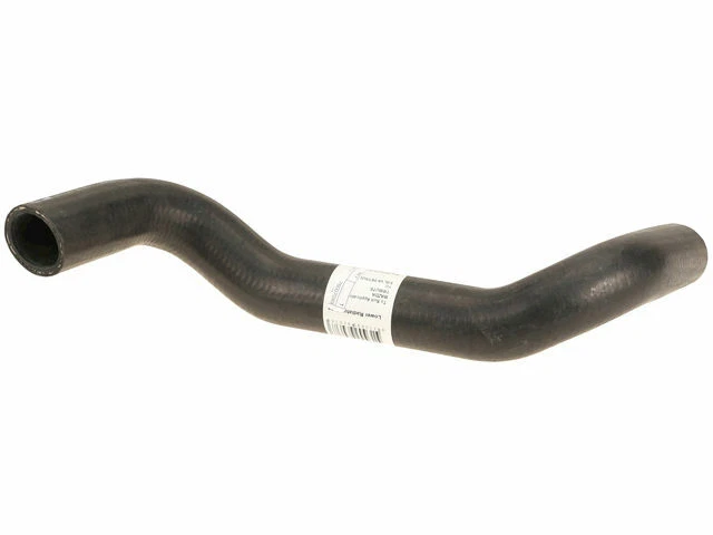 Manguera de radiador inferior para Ford Escape 2001-2004 3,0 L V6 2002 2003 B317WW moldeada Foto 1 de 1