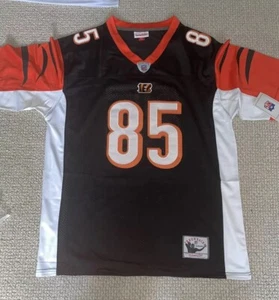 Chad Ochocinco M&N Jersey - Picture 1 of 3