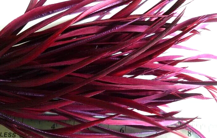 QUAL A DIFERENÇA ENTRE PENAS E PLUMAS DE GANSO