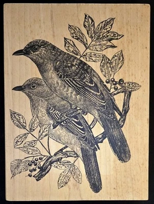 Estampillas de goma magenta dos pájaros encaramados en rama de bayas XX-grandes Foto 1 de 2