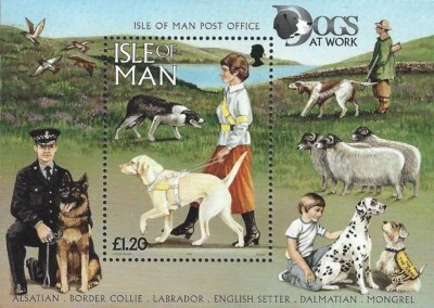 1996 Isle of Man Sg MS725 Dogs MNH - Image 1 of 2