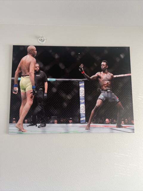 Anderson Spider Silva 4LUVofMMA Poster new MMA wall art