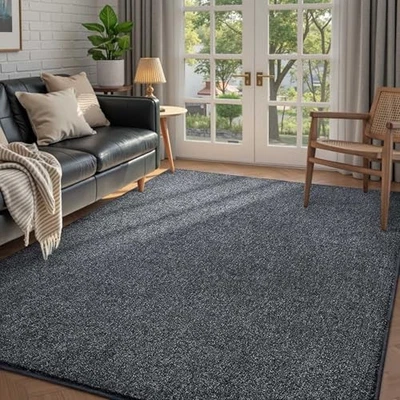 Alfombras lavables FinRèc 4x6 para dormitorio sala de estar, alfombra delgada de pelo bajo  Foto 1 de 4