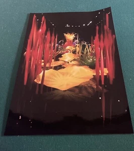 Chihuly Artist Print. Size is 12x18in. Taken in 2023 From Seattle Garden & Glass - Picture 1 of 1