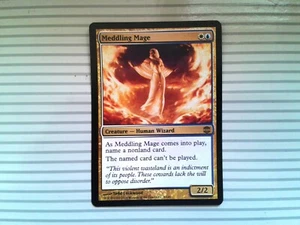 Magic: The Gathering Karte - Alara Reborn ~ Rare ~ Einmischender Magier - Bild 1 von 1