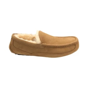 Zapatillas UGG Ascot 1101110 para hombre Zapatos Piel de oveja Gamuza Castaño - Imagen 1 de 8
